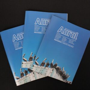 Revista Aural Nº4
